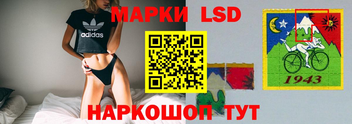 Галлюциногенные грибы Среднеуральск
