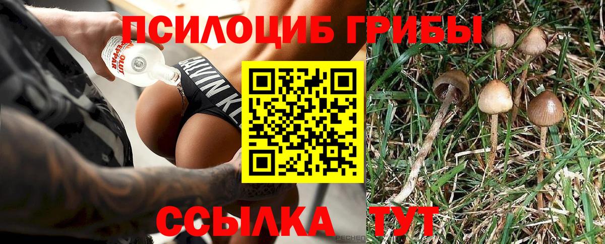 Галлюциногенные грибы Psilocybe  Вход с VPN  Среднеуральск 