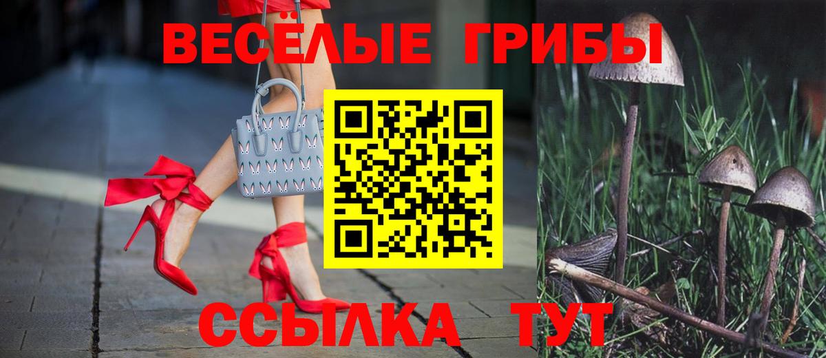 Псилоцибиновые грибы мухоморы Среднеуральск